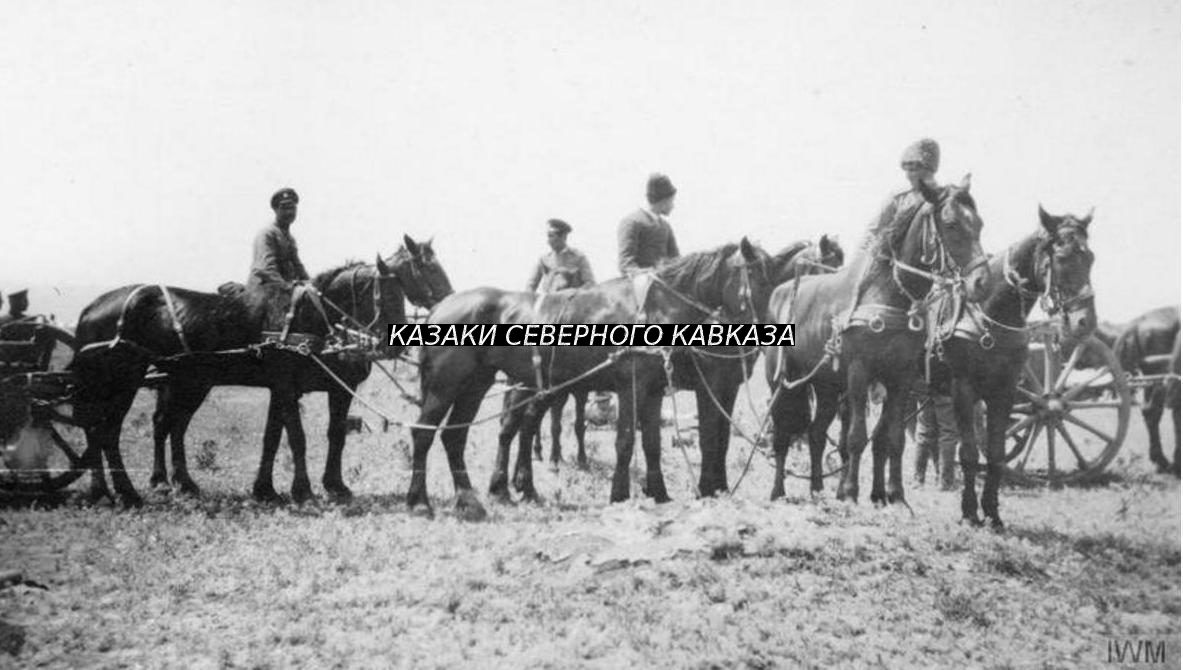 Последние бои частей Добровольческой армии на территории Терской области в январе – марте 1920 года Часть I